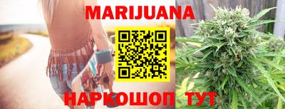 индика Сланцы