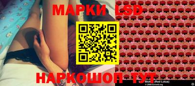 индика Сланцы